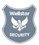 Wellstar Security